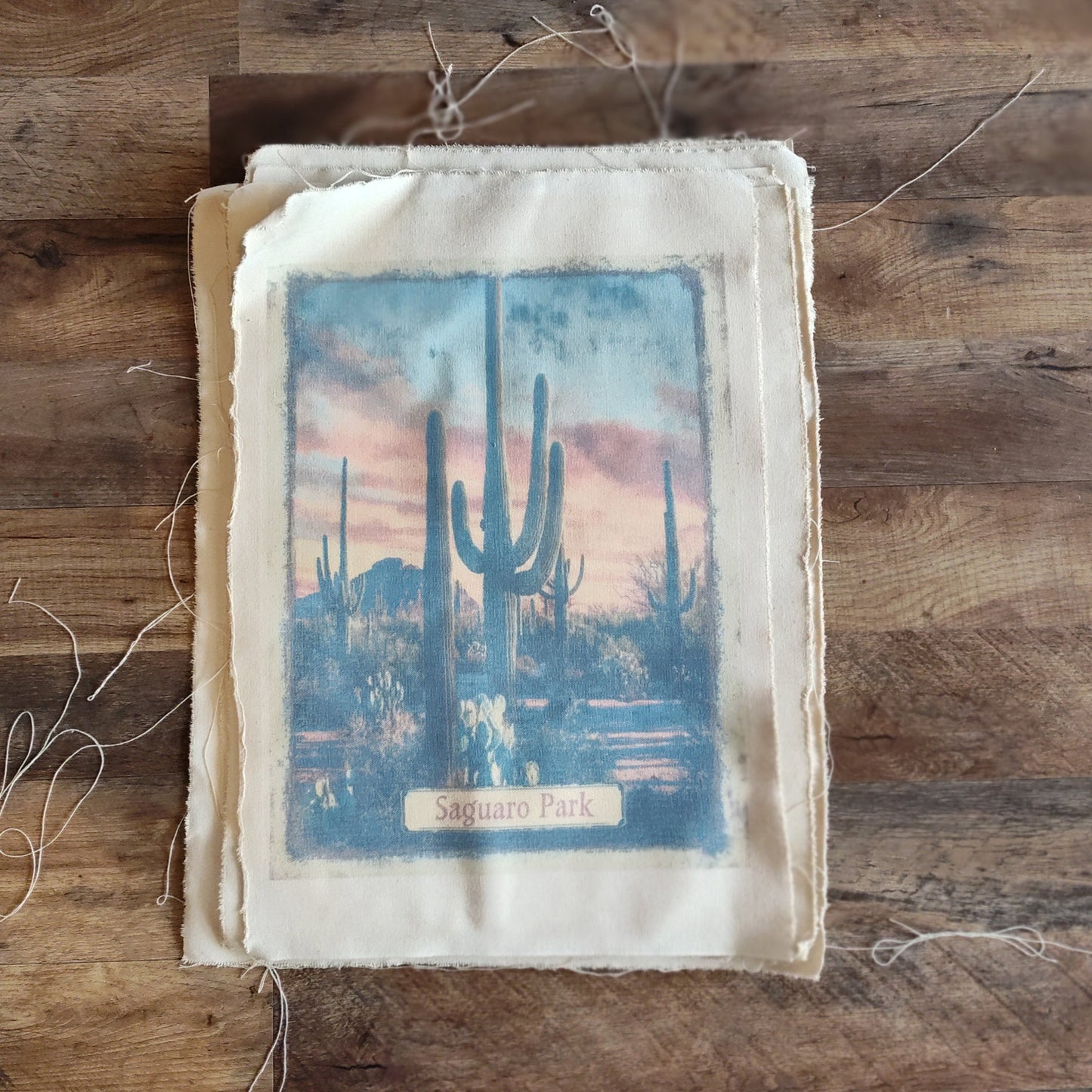 Saguaro Park Canvas Print - Vintage Desert Landscape with Cacti