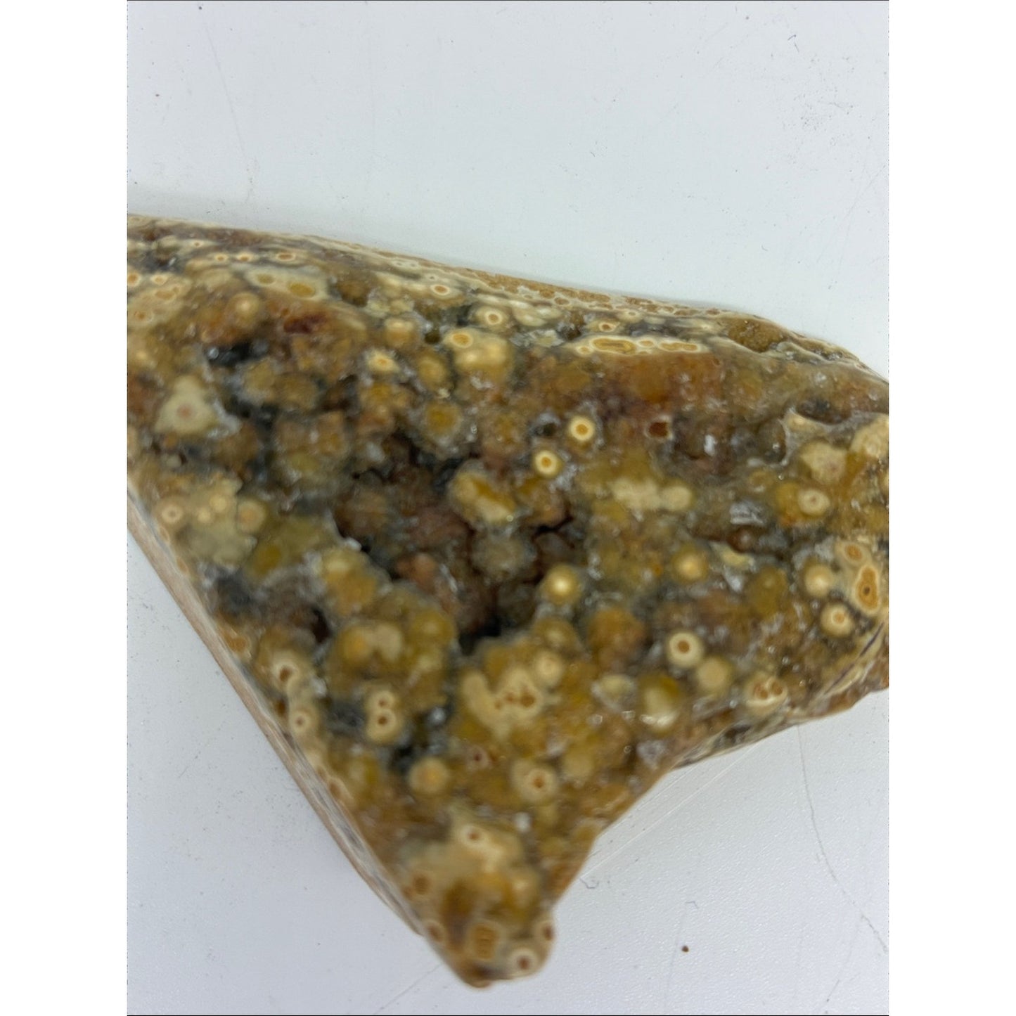 Polished Ocean Jasper Cabochon - Brown & Cream Pattern ROCK