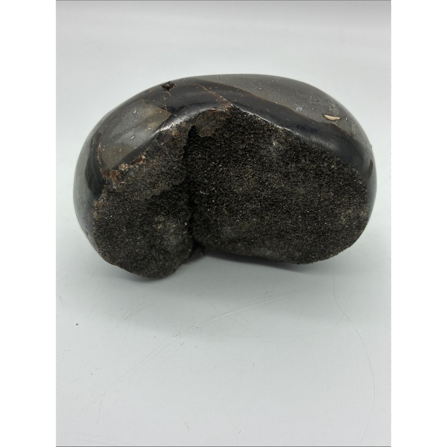 Polished Black and Brown Jasper Palm Stone Rock
