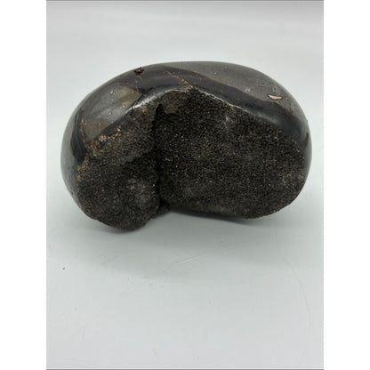 Polished Black and Brown Jasper Palm Stone Rock