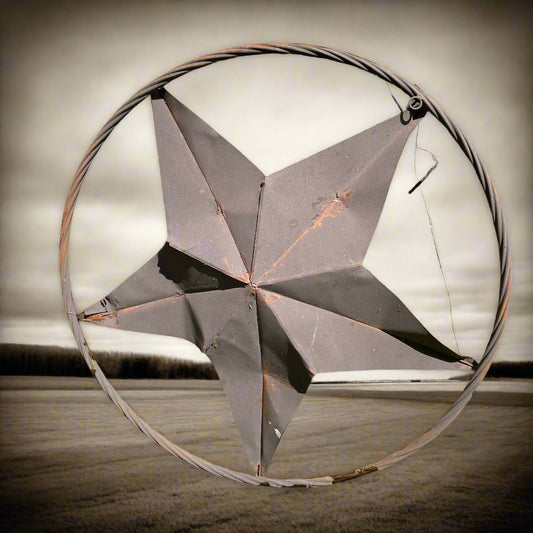 #119, Metal star