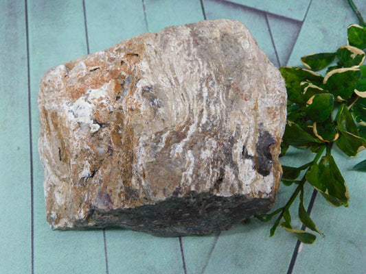 ROCK STONE LAPIDARY SPECIMEN