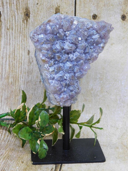 ANGEL AURA AMETHYST DISPLAY ROCK STONE LAPIDARY SPECIMEN