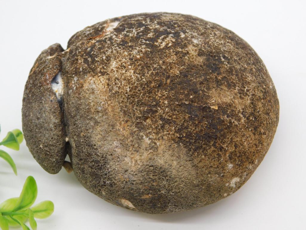 BRAZILIAN AGATE ROCK STONE LAPIDARY SPECIMEN