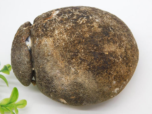 BRAZILIAN AGATE ROCK STONE LAPIDARY SPECIMEN