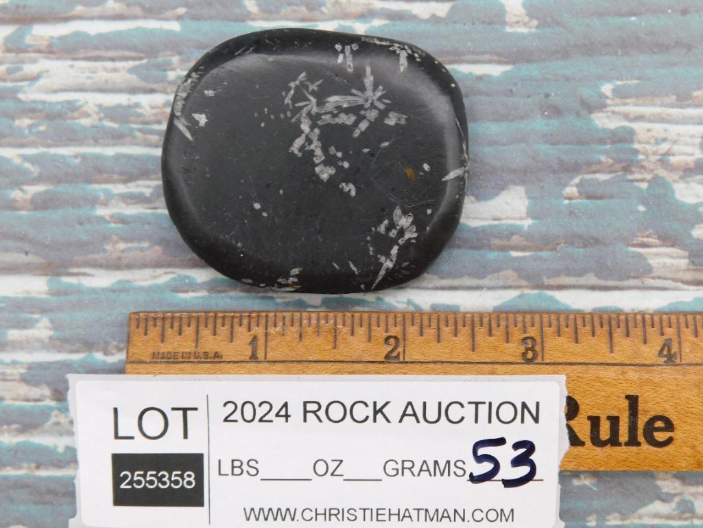 CHRYSANTHEMUM ROCK STONE LAPIDARY SPECIMEN