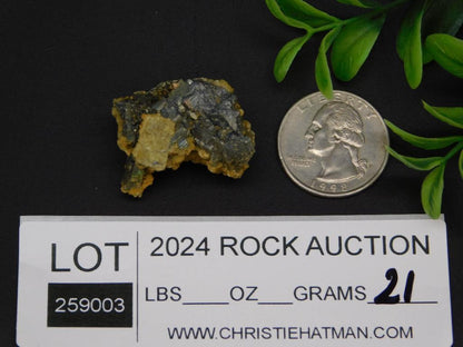 PANASQUIERA MINE PORTUGAL SPECIMEN