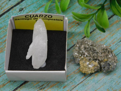 PANASQUIERA MINE PORTUGAL SPECIMENS