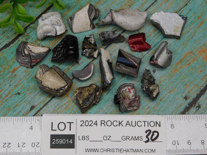 FORDITE MOTOR CITY AGATE LOT