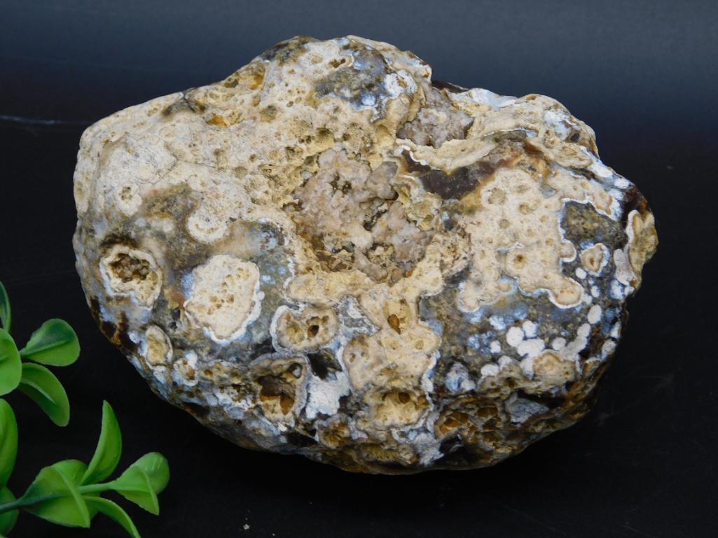 ROCK STONE LAPIDARY SPECIMEN