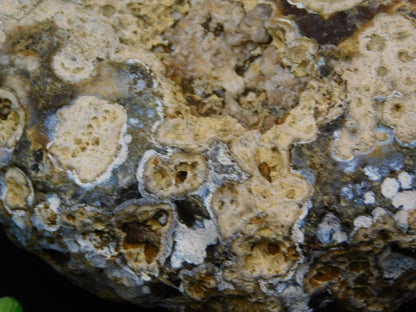ROCK STONE LAPIDARY SPECIMEN