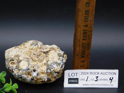ROCK STONE LAPIDARY SPECIMEN