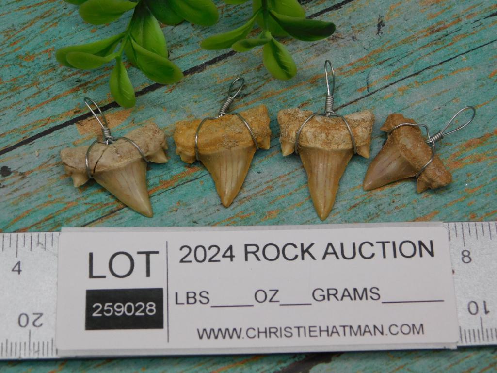 SHARK TEETH PENDANTS SET OF 4
