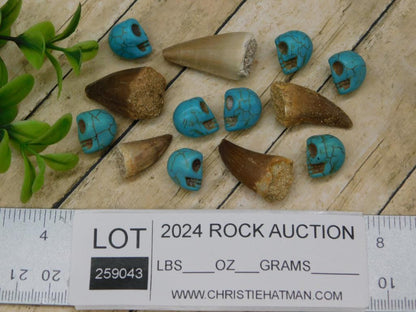 DINOSAUR TEETH AND STONE SKULL BEADS