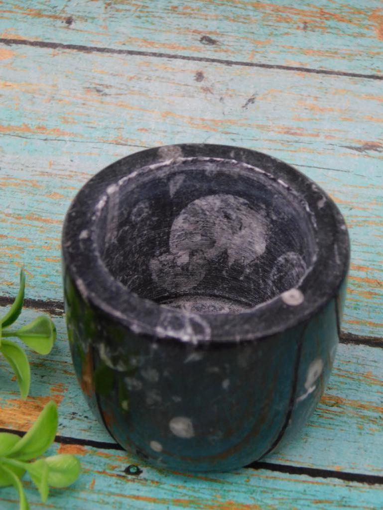 ORTHOCERAS TRINKET BOX