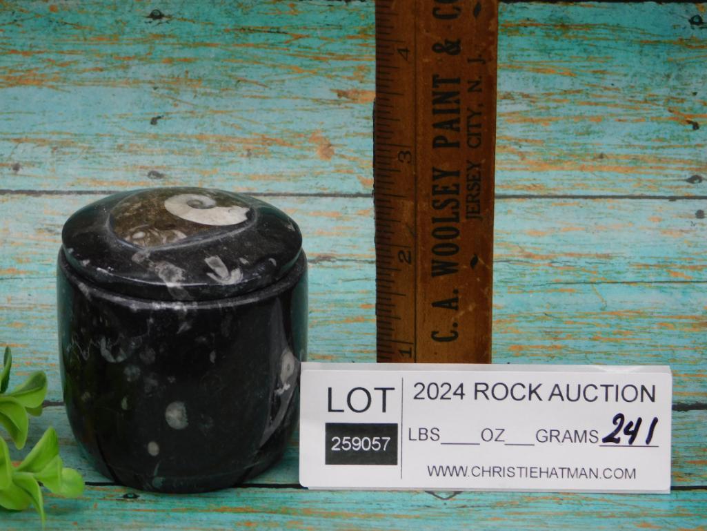 ORTHOCERAS TRINKET BOX