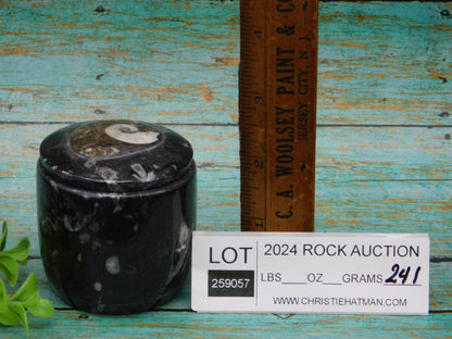 ORTHOCERAS TRINKET BOX