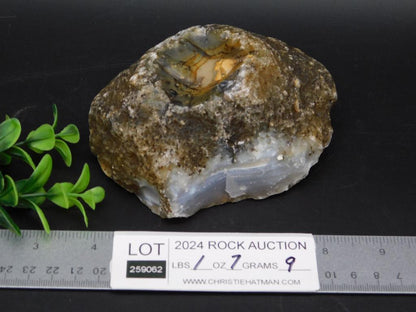 BLACK SKIN AGATE ROCK