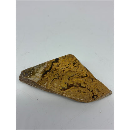 Polished Ocean Jasper Cabochon - Brown & Cream Pattern ROCK