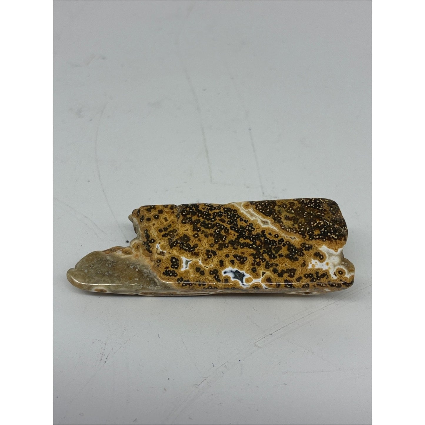Polished Ocean Jasper Slab - Brown & Cream Decorative Stone ROCK