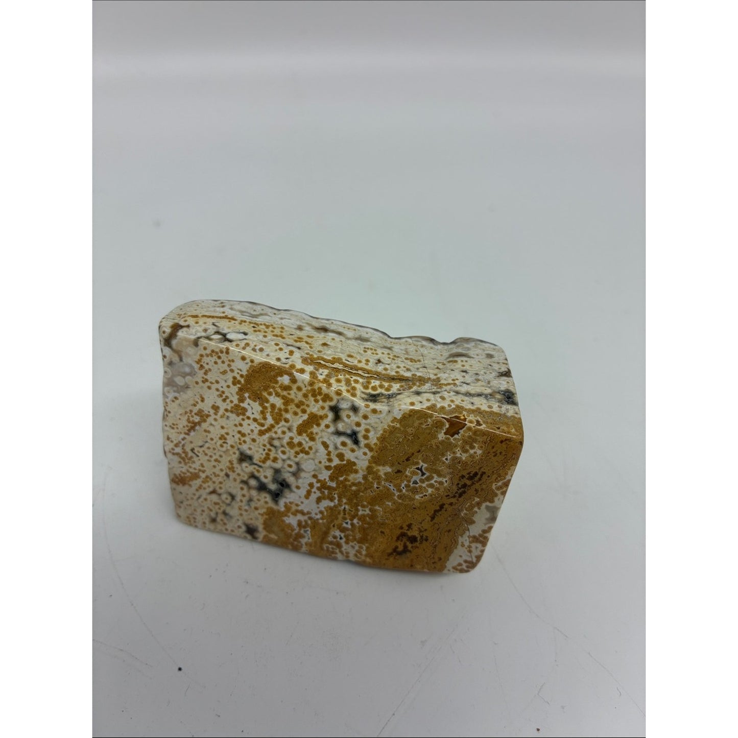 Polished Ocean Jasper Slab - Brown and Cream Rock