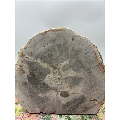 Green Chinese Dragon Decorative Petrified Wood Plaque Rock