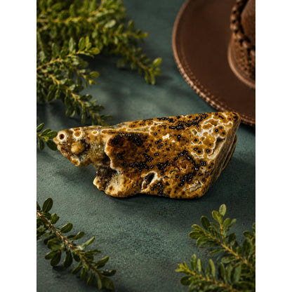 Polished Ocean Jasper Slab - Brown & Cream Decorative Stone ROCK