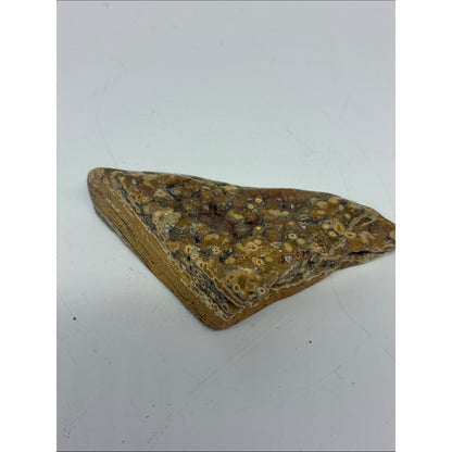 Polished Ocean Jasper Cabochon - Brown & Cream Pattern ROCK