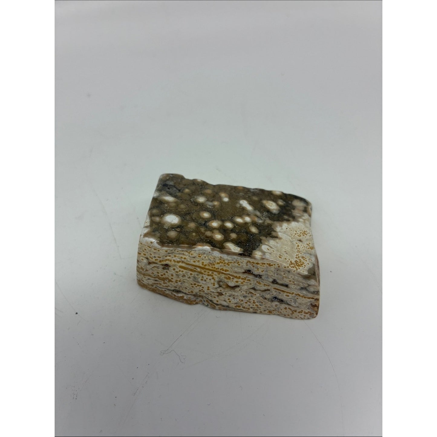 Polished Ocean Jasper Slab - Brown and Cream Rock