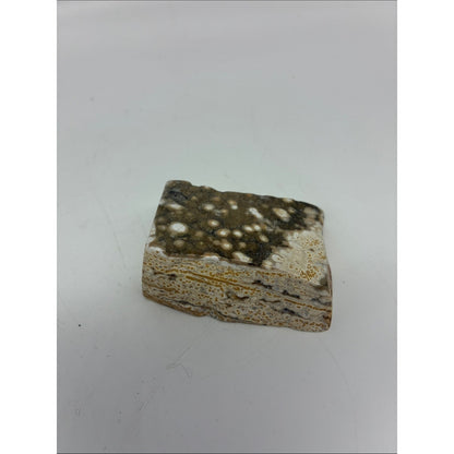 Polished Ocean Jasper Slab - Brown and Cream Rock