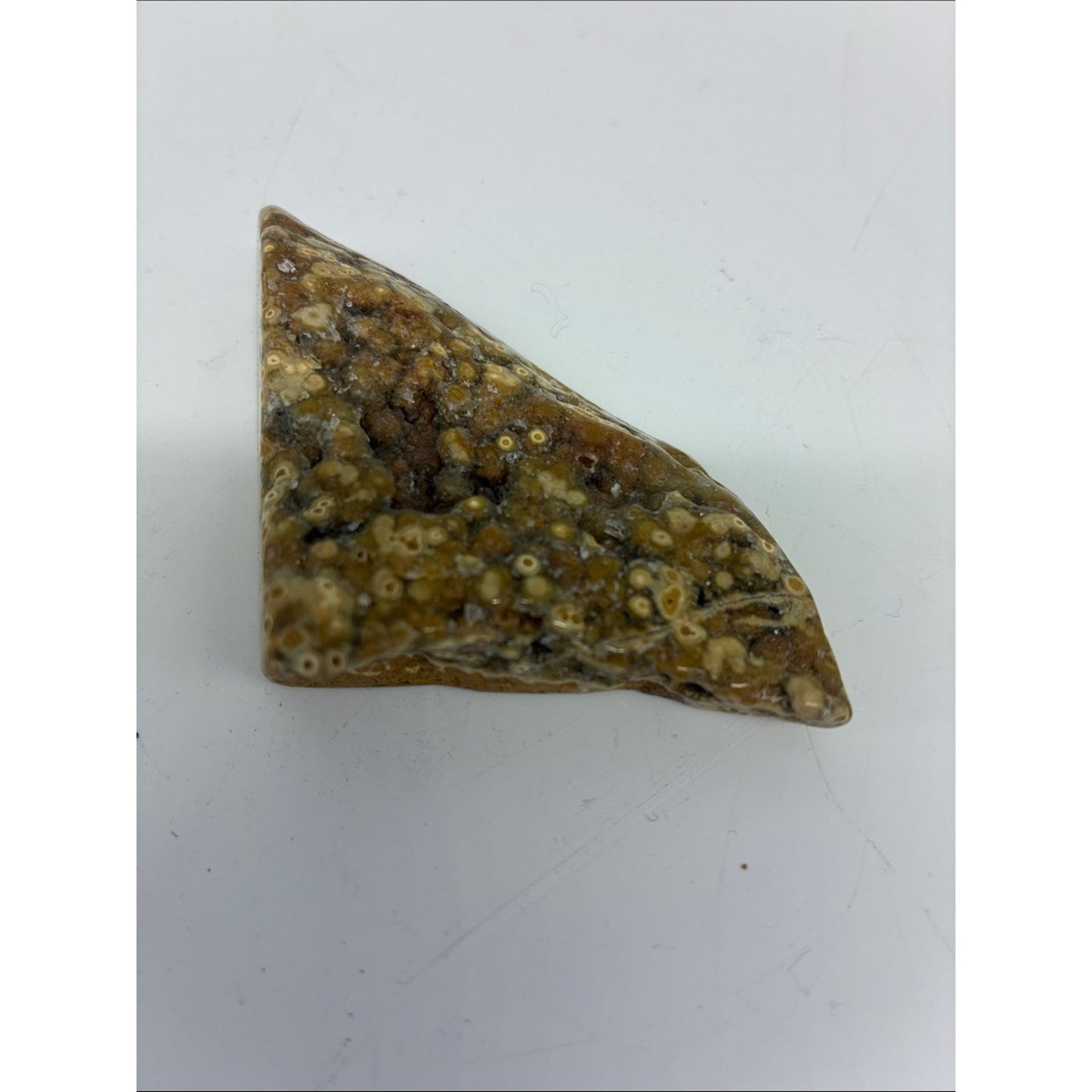 Polished Ocean Jasper Cabochon - Brown & Cream Pattern ROCK