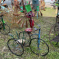 #129 Ant on Bike