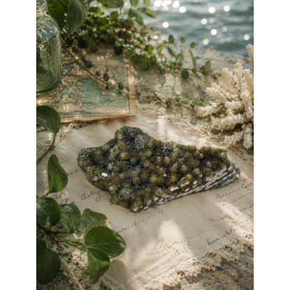 Ocean Jasper Polished Slab - White, Green & Tan ROCK