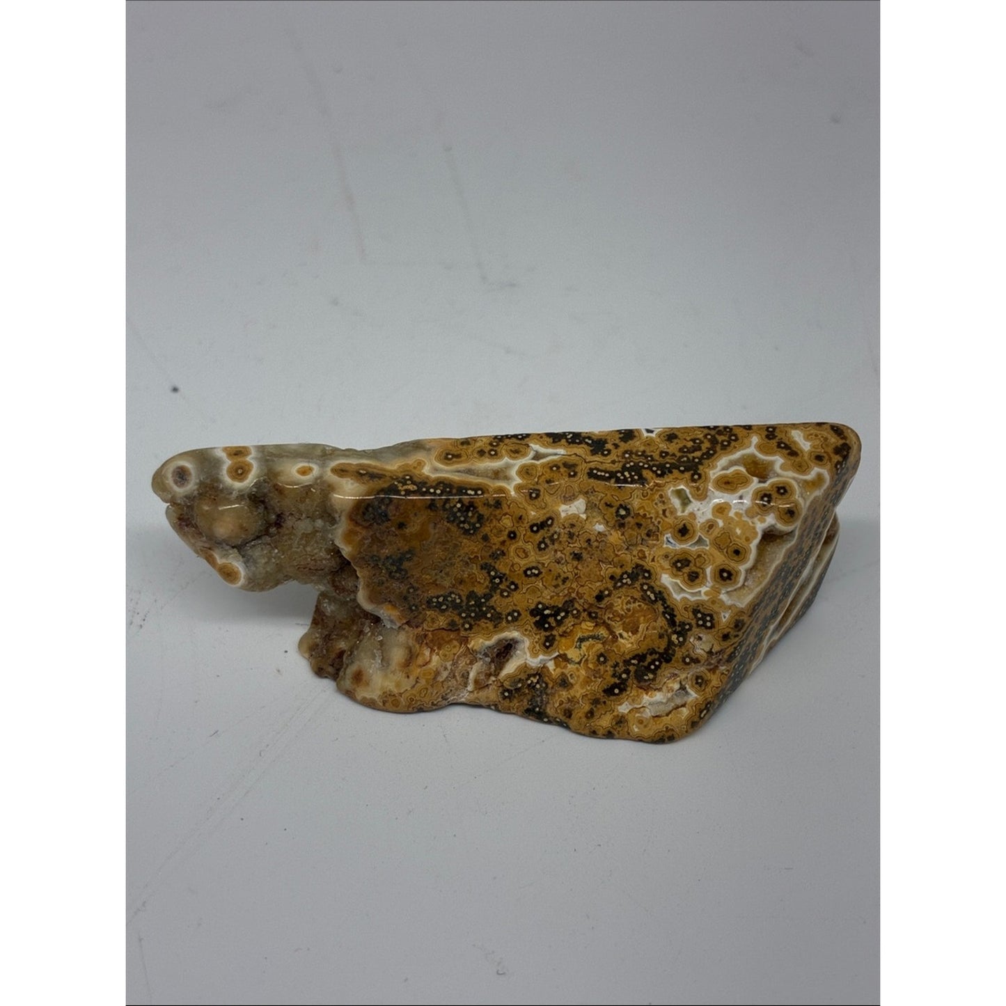Polished Ocean Jasper Slab - Brown & Cream Decorative Stone ROCK