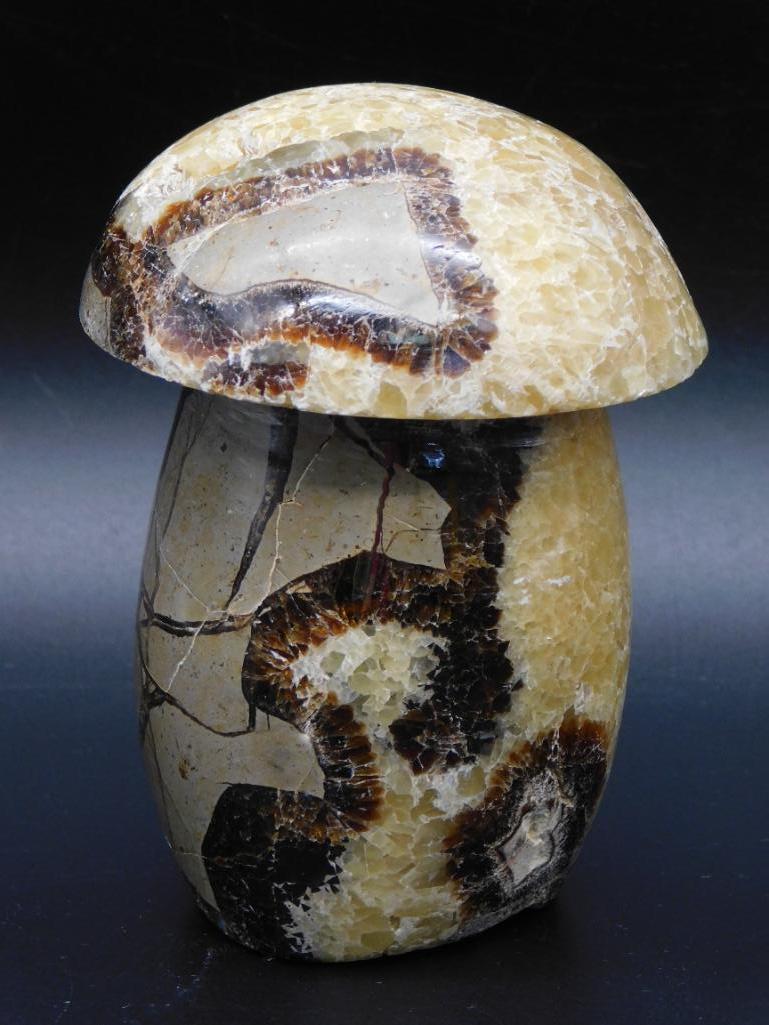 SEPTARIAN MUSHROOM ROCK STONE LAPIDARY SPECIMEN
