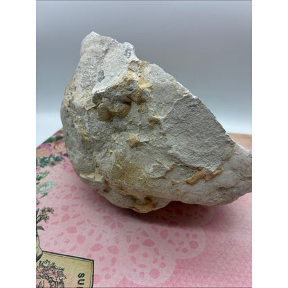 White Crystal Geode Display ROCK