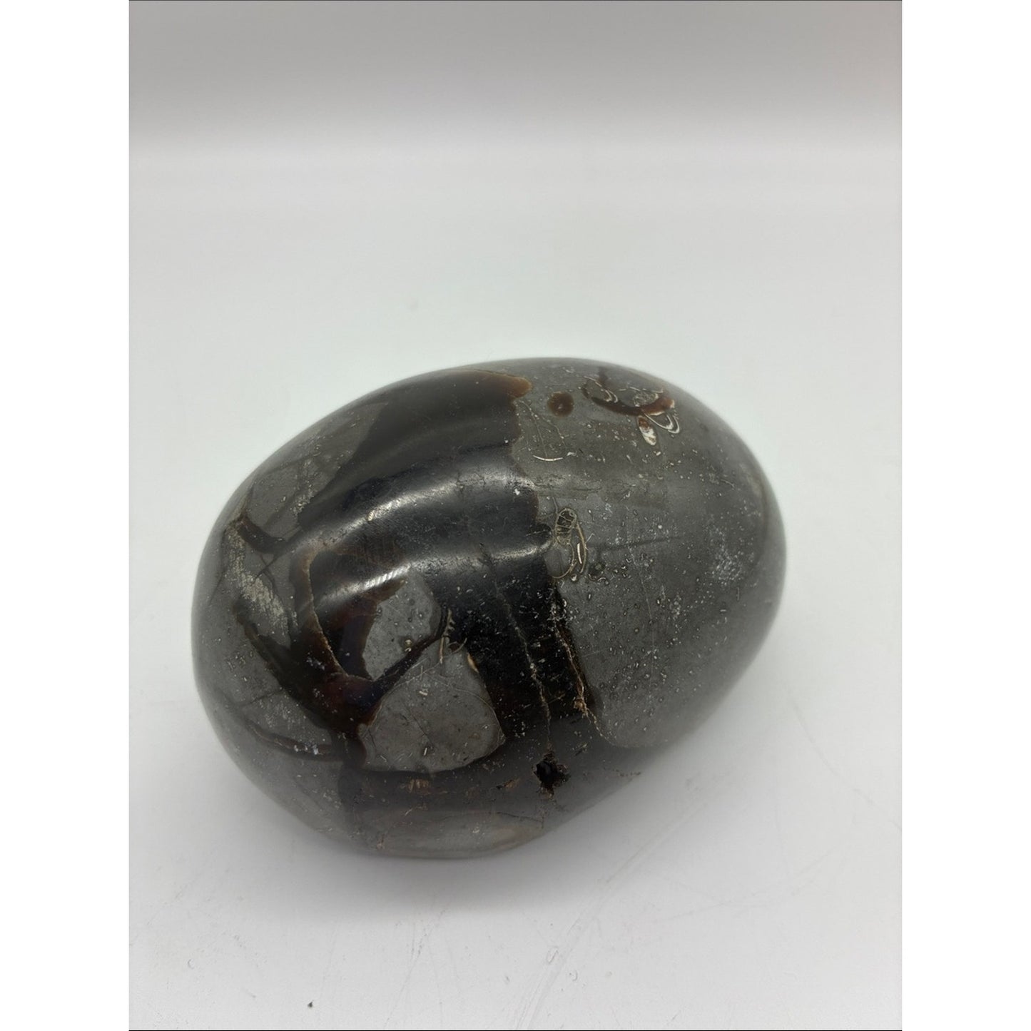 Polished Black and Brown Jasper Palm Stone Rock