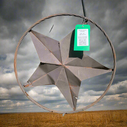 #119, Metal star