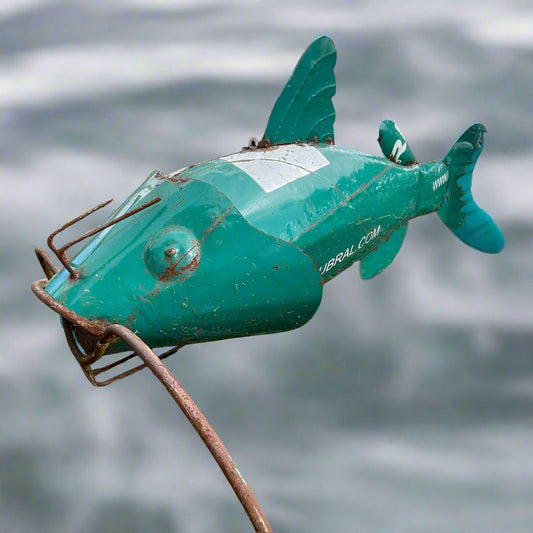 #116, Large Catfish