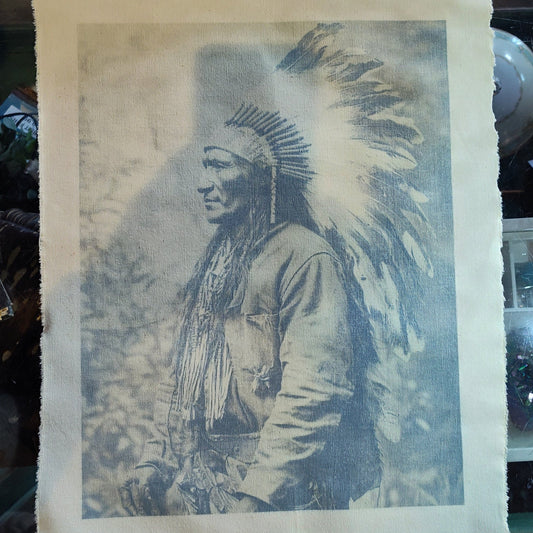 Vintage Native American Portrait Canvas Print