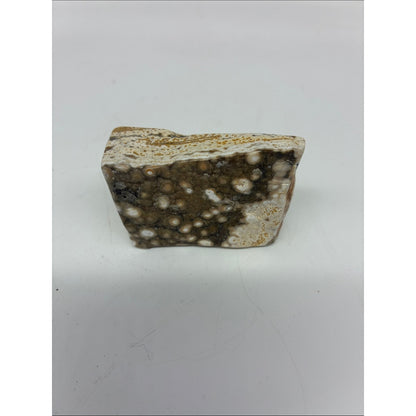 Polished Ocean Jasper Slab - Brown and Cream Rock