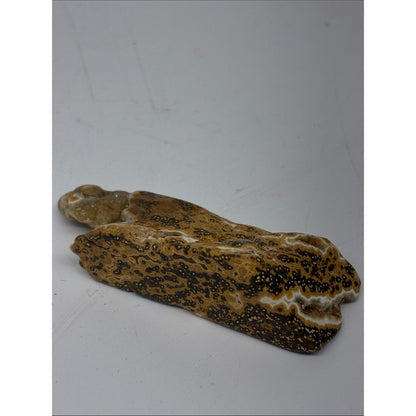 Polished Ocean Jasper Slab - Brown & Cream Decorative Stone ROCK