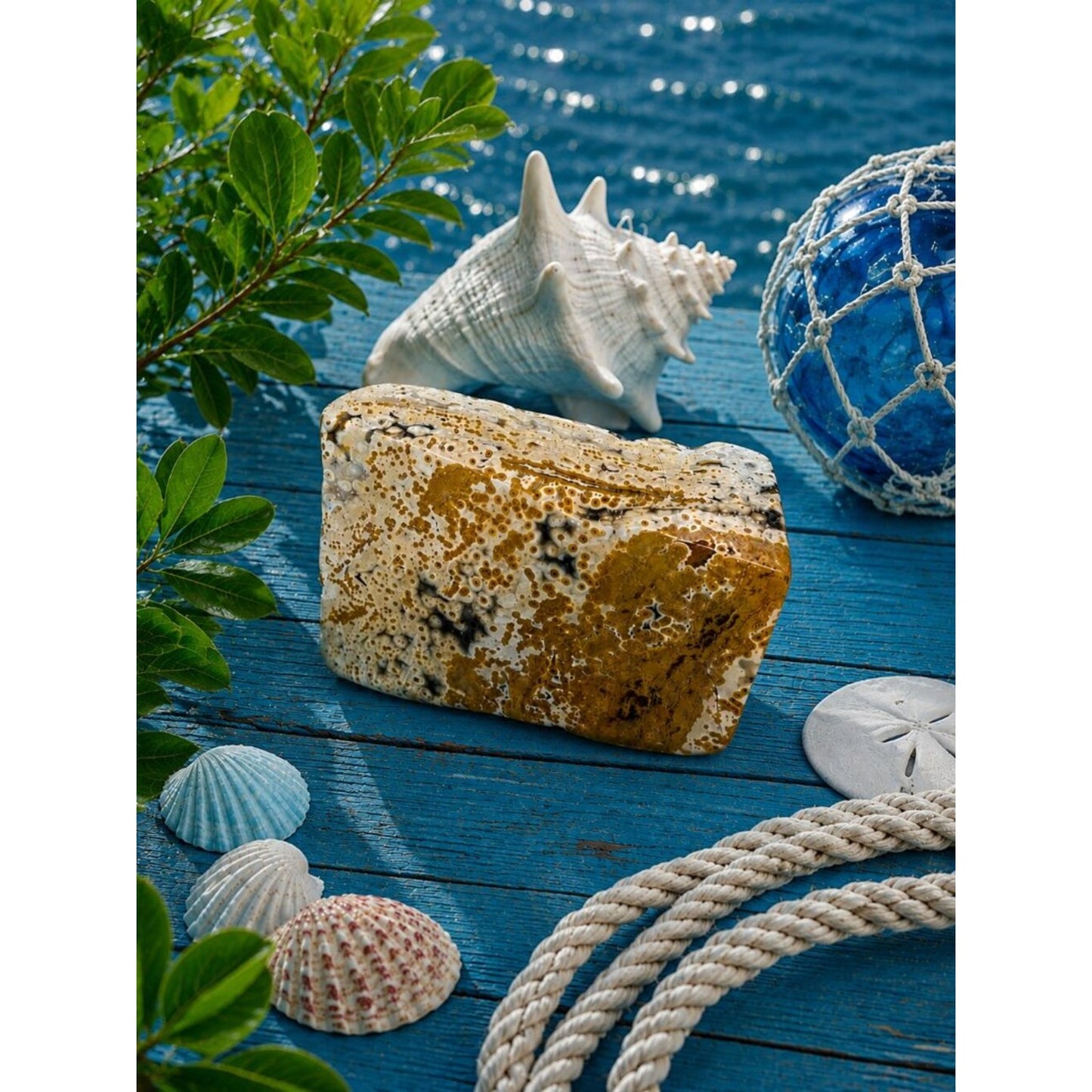 Polished Ocean Jasper Slab - Brown and Cream Rock