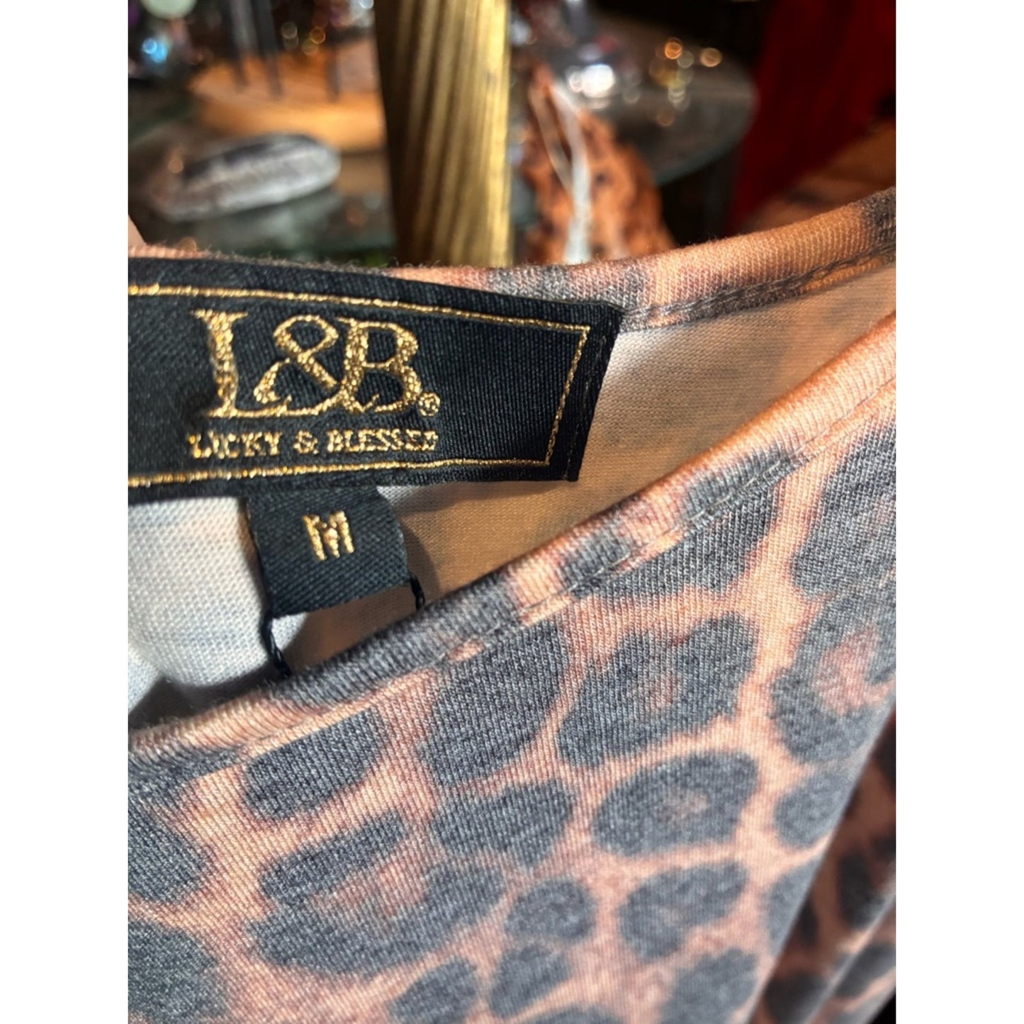 Lucky & Blessed Leopard Print Mini Dress with Black Sheer Hem