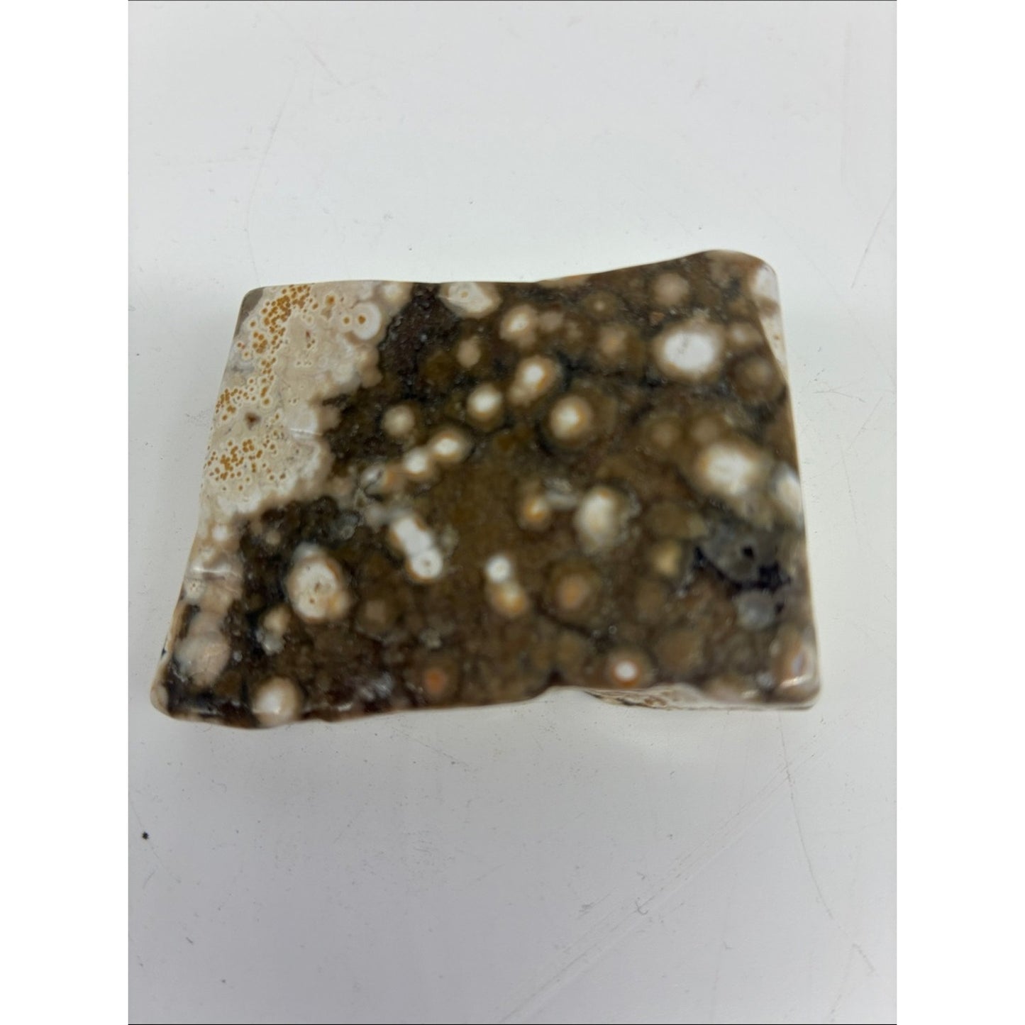 Polished Ocean Jasper Slab - Brown and Cream Rock